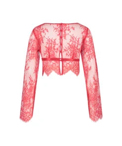 All-over Lace Top - Red -Deals Bare Bralettes Store 200300 6