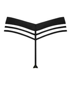 Kat Thong - Black 9 Kat Thong - Black -Deals Bare Bralettes Store 202568 6 scaled